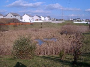 Homestead Acres