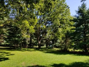 1981 Landis Valley Road
