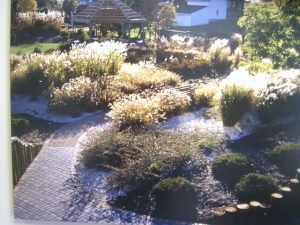 New Danville Executive Plaza